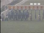 video_thumbnail_sample
